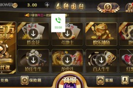 微星二开ui泰轩国际服务器打包完整数据+双端app正常