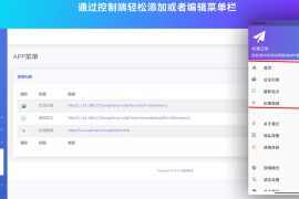 网站转换APP源代码 WebAPP源代码 Flutter项目+带控制端 附视频教程