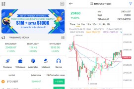 全开源代码白色UI界面虚拟币交易所系统源码,USDT/BTC加密货币交易所平台,虚拟币微交易币币合约交易