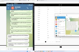 假TG假飞机2.0中文版 篡改钱包地址 支持篡改三链 带搭建教程