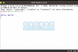 如何在 Mac 上安装 Python