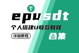 epusdt搭建教程｜个人/企业支付｜U收款系统｜0基础搭建 从入门到精通