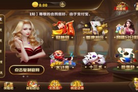 更新微星二开圣娱国际+NG+完整组件+无授权+完整数据