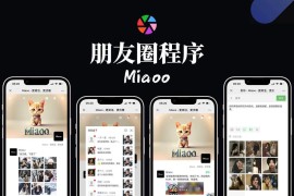 免费|修复版Miaoo朋友圈程序全开源版源码免费下载